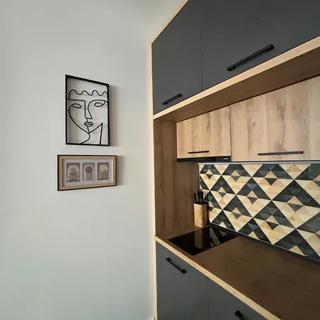 Masa Vidik Residance Appartement Kopaonik