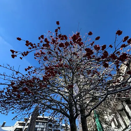 Appartement Masa Vidik Residance *