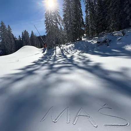 Masa Vidik Residance Appartement Kopaonik